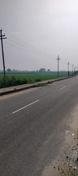  Agricultural Land 30 Bigha for Sale in Khurja, Bulandshahr