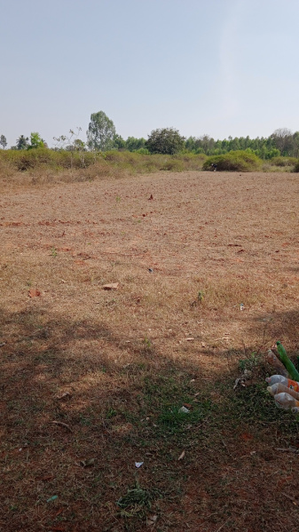  Residential Plot 13000 Sq.ft. for Sale in Dabok, Udaipur