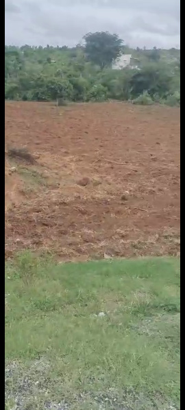  Residential Plot 93 Cent for Sale in Denkanikottai, Hosur
