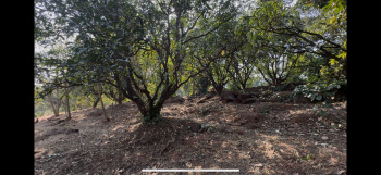  Agricultural Land for Sale in Guhagar, Chiplun
