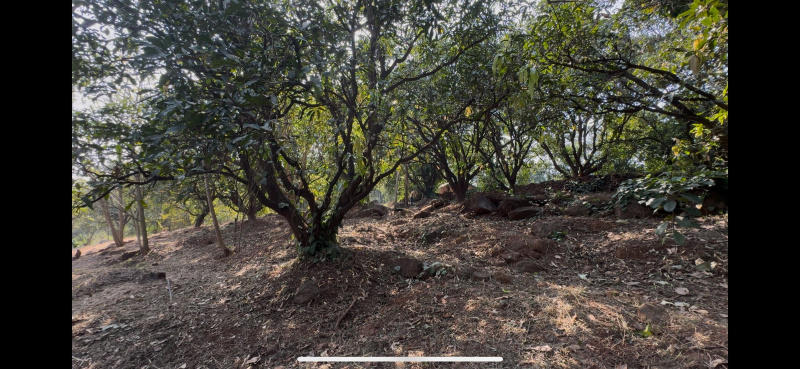  Agricultural Land 54 Sq.ft. for Sale in Guhagar, Chiplun