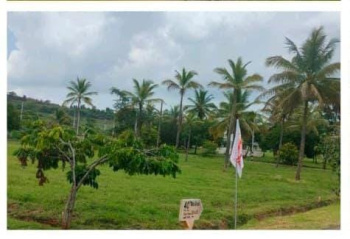  Residential Plot for Sale in Mysore Road, Bangalore