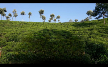  Commercial Land for Sale in Kotagiri, Ooty