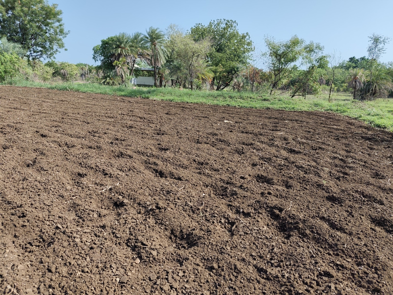  Residential Plot 303 Sq. Yards for Sale in Madhapur, Hyderabad