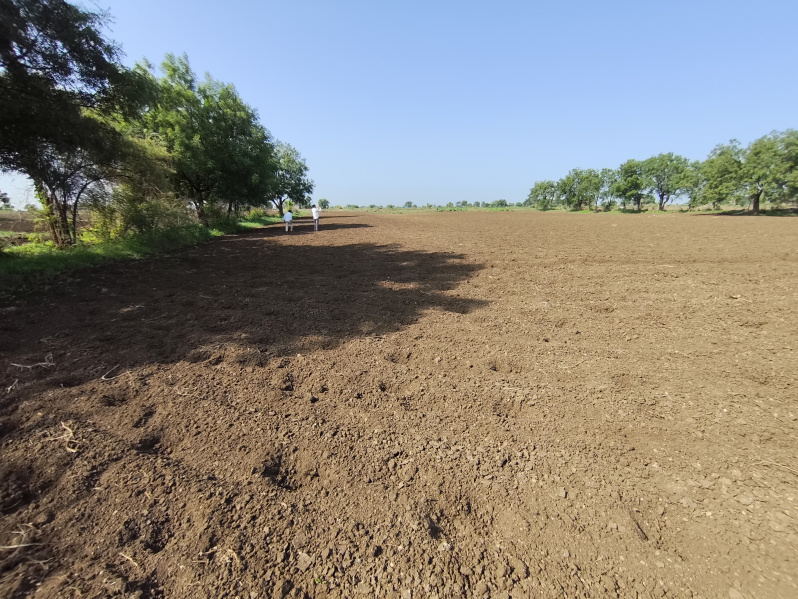  Residential Plot 303 Sq. Yards for Sale in Madhapur, Hyderabad