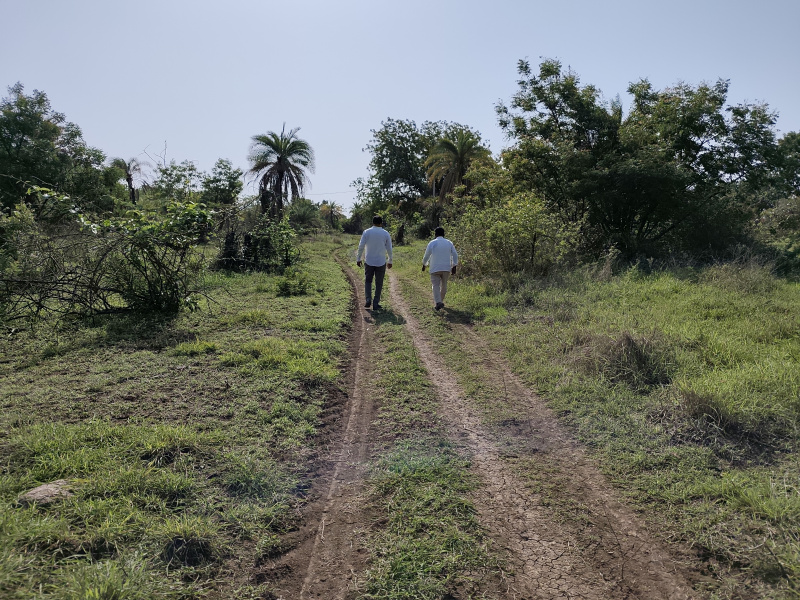  Residential Plot 303 Sq. Yards for Sale in Patancheru, Hyderabad