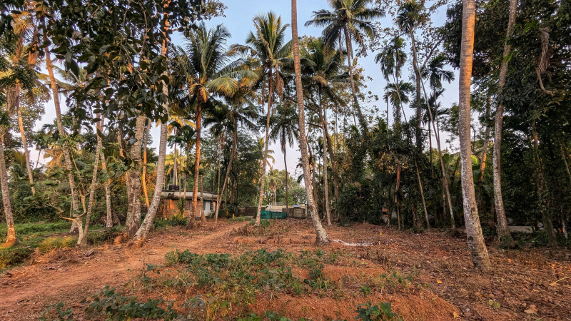  Residential Plot 13 Cent for Sale in Udayamperoor, Ernakulam