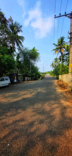  Residential Plot 13 Cent for Sale in Udayamperoor, Ernakulam