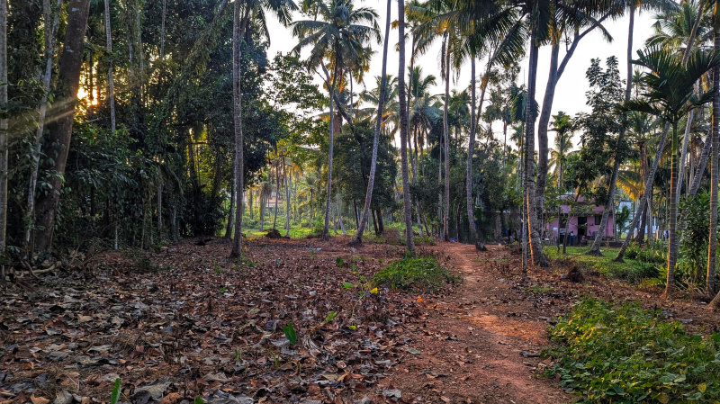  Residential Plot 13 Cent for Sale in Udayamperoor, Ernakulam