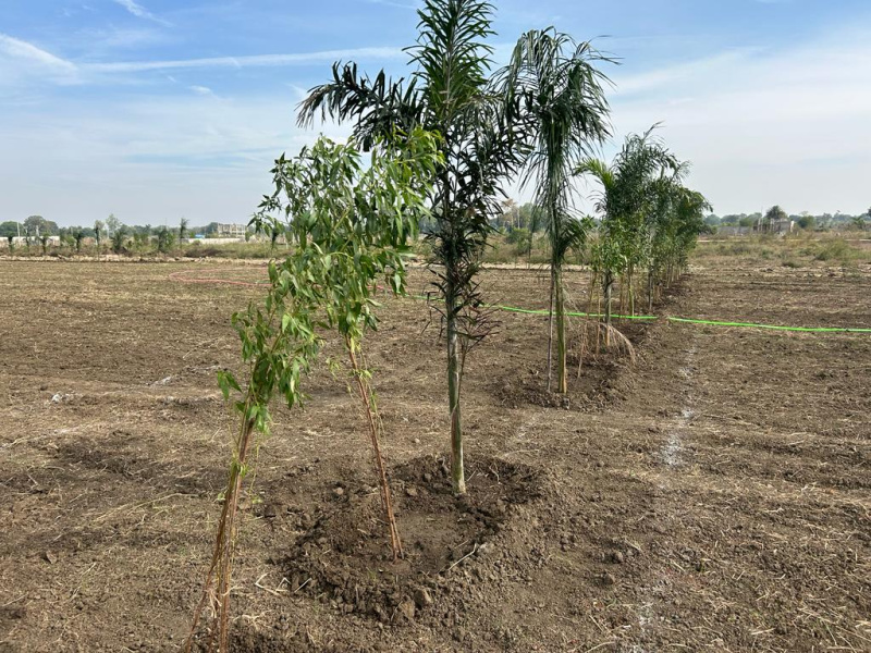 1 RK Farm House 11025 Sq.ft. for Sale in Neelbad, Bhopal