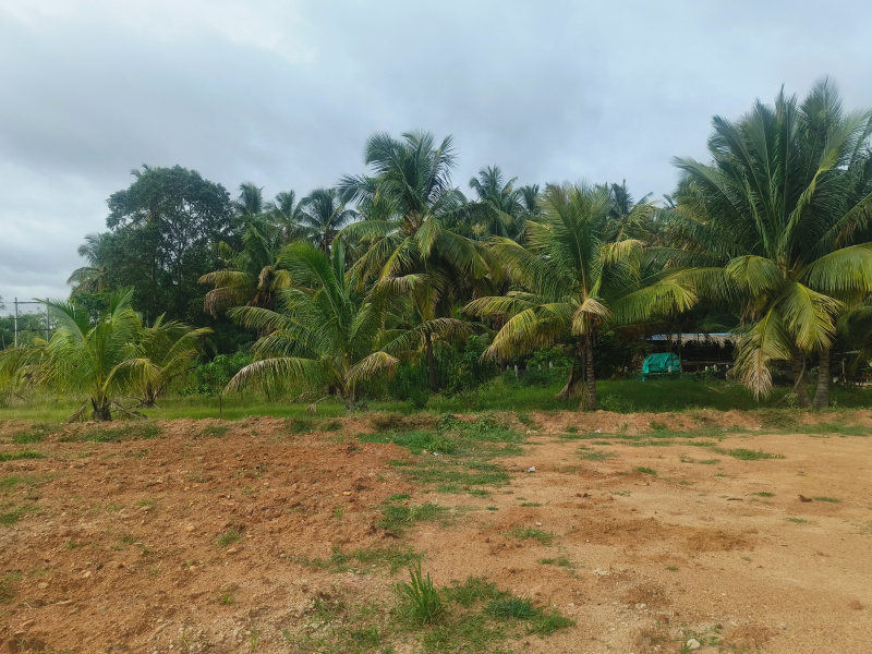 4 BHK Farm House 15 Acre for Rent in Hiriyur, Chitradurga