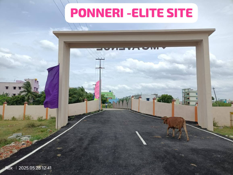  Residential Plot 600 Sq.ft. for Sale in Gomathy Amman Nagar, Tiruvallur, Chennai