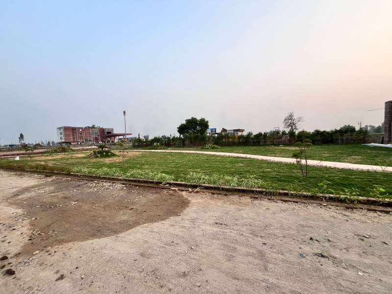  Residential Plot 1250 Sq.ft. for Sale in Nagala Imarti, Roorkee