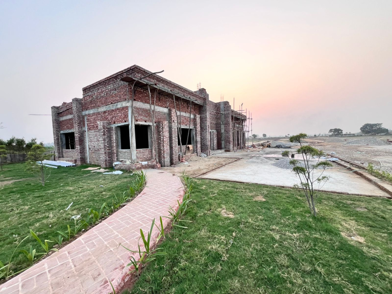  Residential Plot 1250 Sq.ft. for Sale in Nagala Imarti, Roorkee