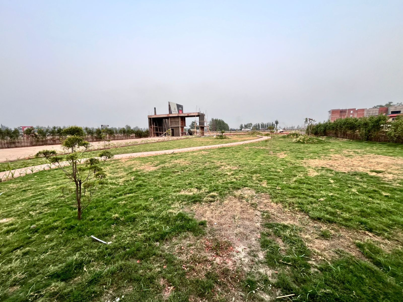  Residential Plot 1250 Sq.ft. for Sale in Nagala Imarti, Roorkee