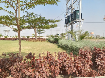  Residential Plot for Sale in Bhawrasla, Indore