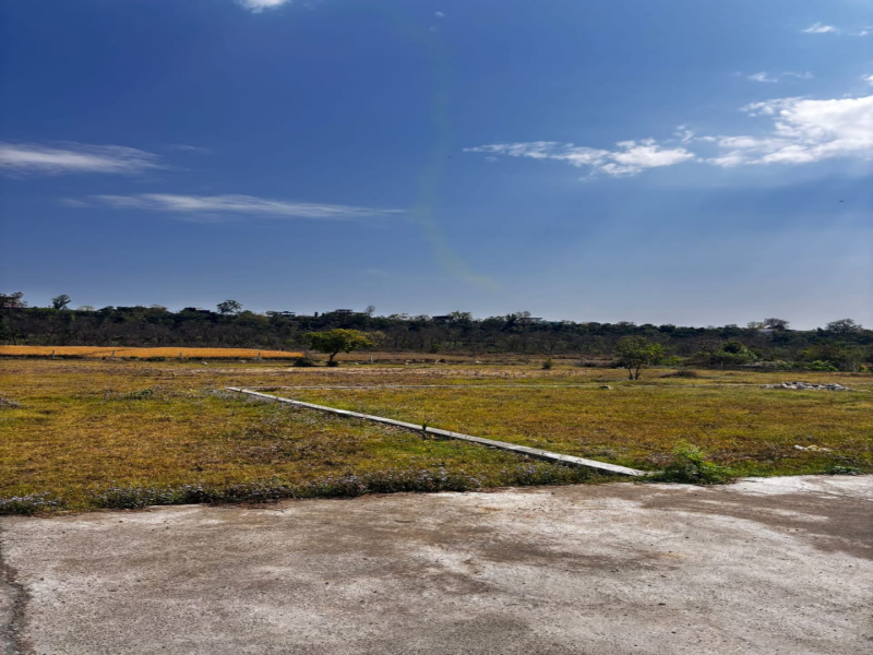  Residential Plot 183 Sq. Yards for Sale in Bhauwala, Dehradun