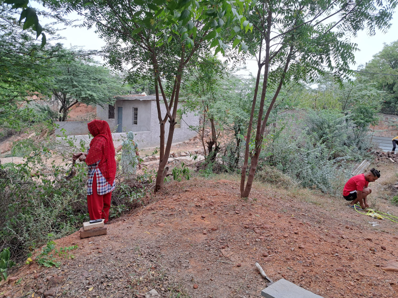  Residential Plot 2675 Sq.ft. for Sale in Mandi, Delhi