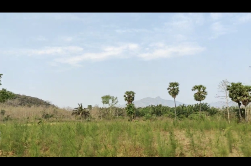  Agricultural Land 6 Acre for Sale in Anakapalle, Visakhapatnam