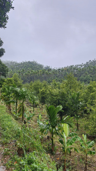  Agricultural Land for Sale in Attapadi, Palakkad
