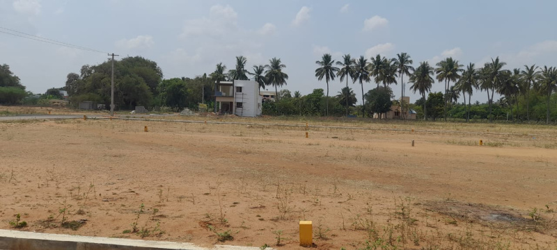  1200 Sq.ft. Residential Plot for Sale in Gundur, Tiruchirappalli