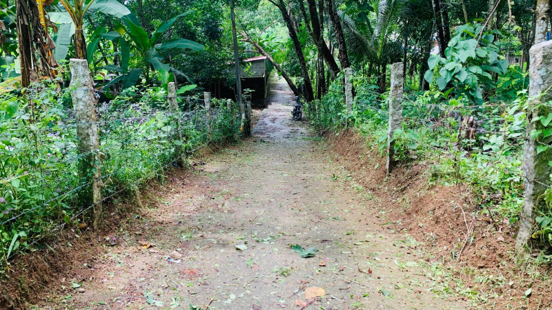  Residential Plot 20 Cent for Sale in Kattakada, Thiruvananthapuram