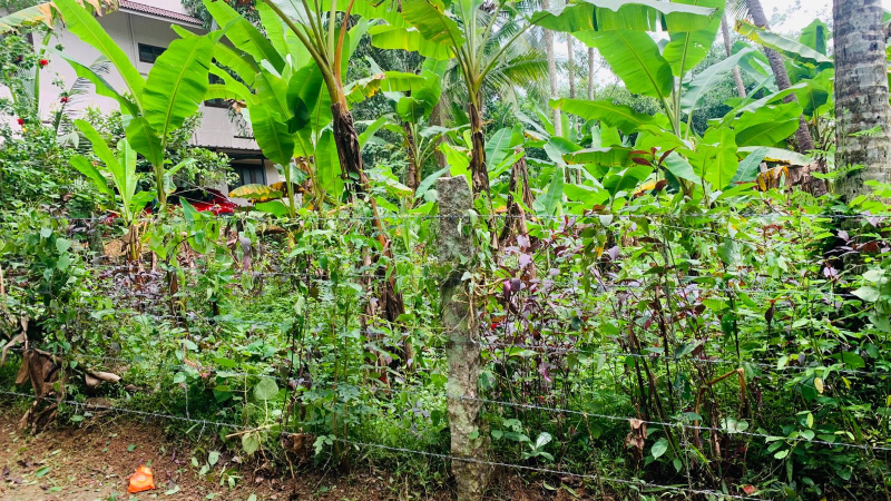  Residential Plot 20 Cent for Sale in Kattakada, Thiruvananthapuram