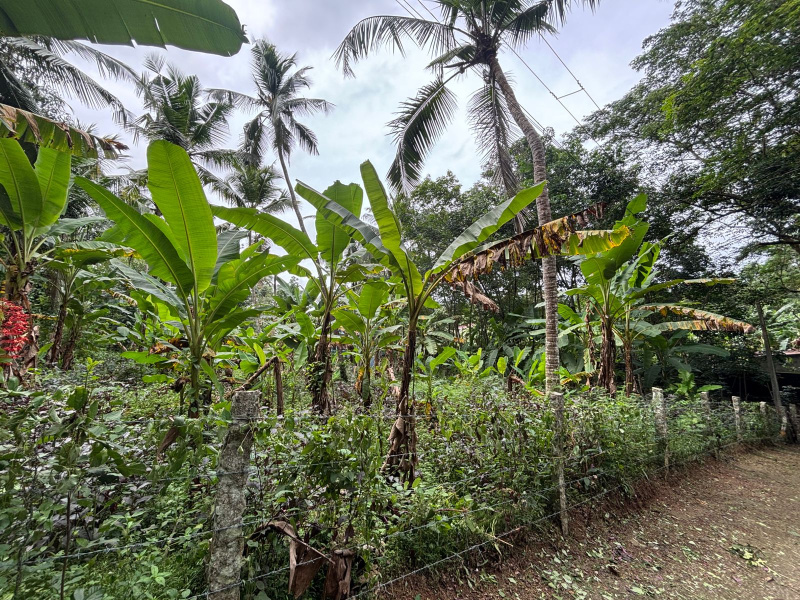  Residential Plot 20 Cent for Sale in Kattakada, Thiruvananthapuram