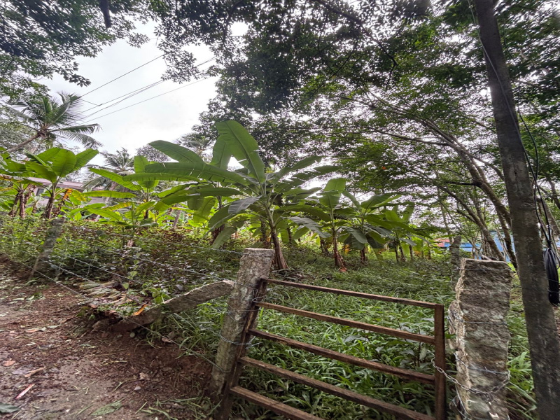  Residential Plot 20 Cent for Sale in Kattakada, Thiruvananthapuram