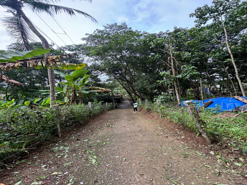  Residential Plot 20 Cent for Sale in Kattakada, Thiruvananthapuram