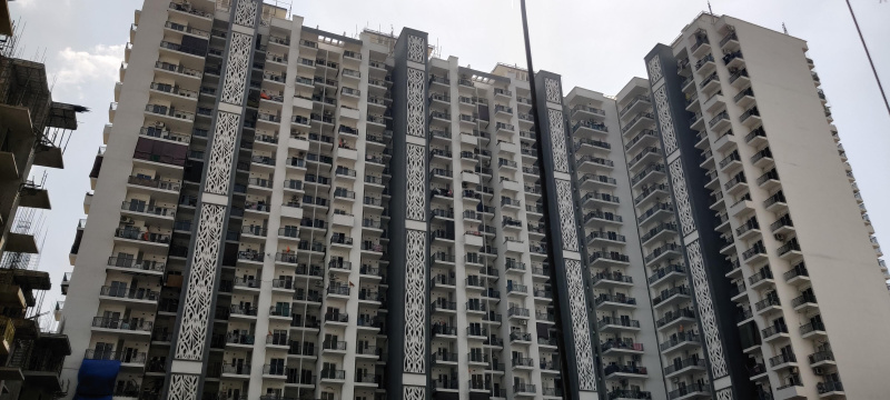 3 BHK 1160 Sq.ft. Apartment for Sale in Greater Noida West