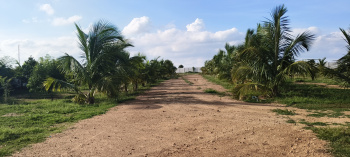  Agricultural Land for Sale in Kadthal, Hyderabad