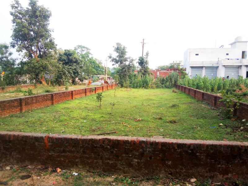  Residential Plot 4360 Sq.ft. for Sale in Boirdadar, Raigarh