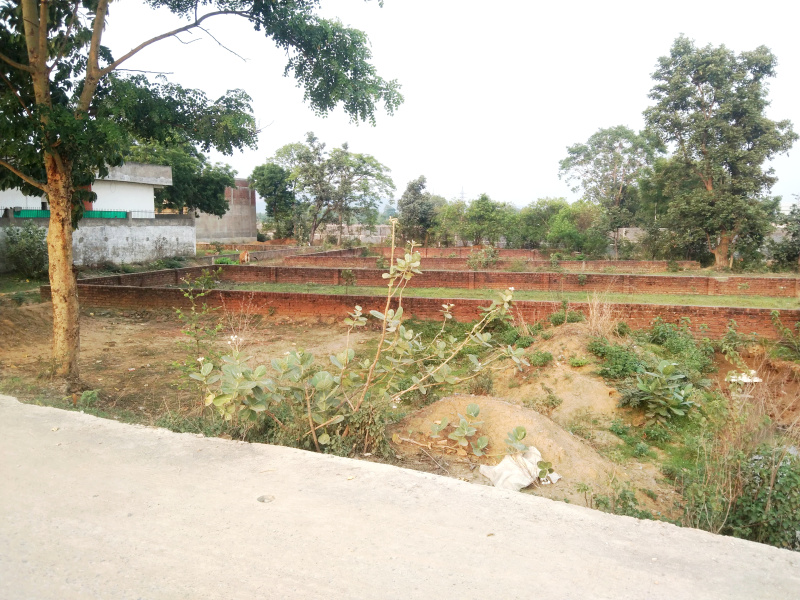  Residential Plot 4360 Sq.ft. for Sale in Boirdadar, Raigarh