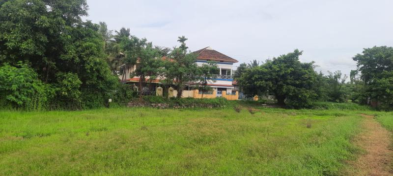  21 Cent Residential Plot for Sale in Kannadi, Palakkad