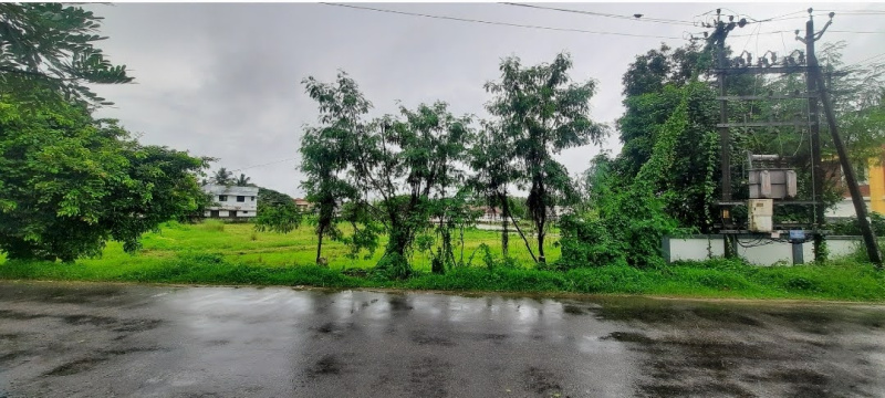  21 Cent Residential Plot for Sale in Kannadi, Palakkad