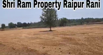  Agricultural Land for Sale in Raipur Rani, Panchkula