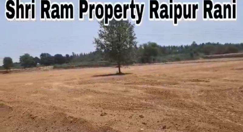  Agricultural Land 3 Acre for Sale in Raipur Rani, Panchkula
