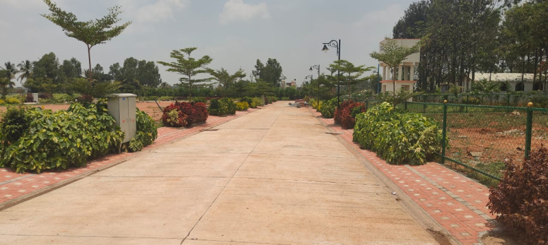  Residential Plot 1200 Sq.ft. for Sale in Whitefield, Bangalore