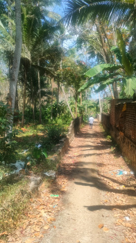  Residential Plot for Sale in Attoor, Kanyakumari