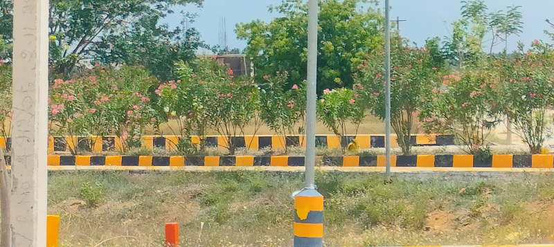  Residential Plot 900 Sq.ft. for Sale in Olaiyur, Tiruchirappalli