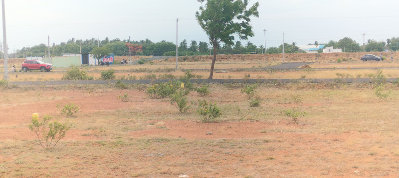  Residential Plot 2325 Sq.ft. for Sale in Mathur, Tiruchirappalli