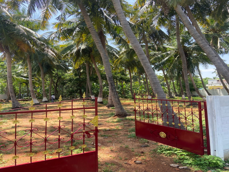 1 RK Farm House 150000 Sq.ft. for Sale in Mutharasanallur, Tiruchirappalli