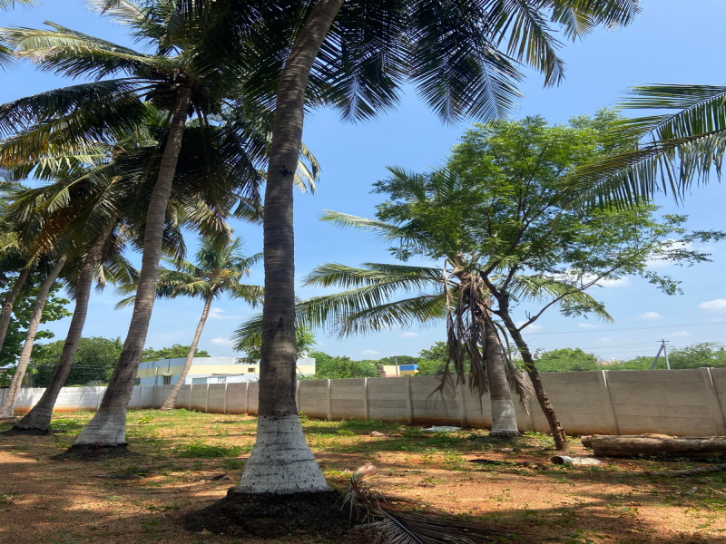 1 RK Farm House 150000 Sq.ft. for Sale in Mutharasanallur, Tiruchirappalli