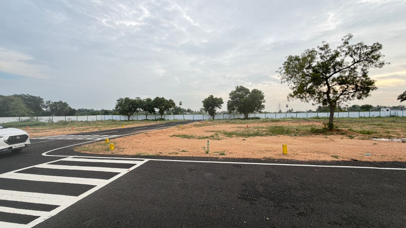  1200 Sq.ft. Residential Plot for Sale in Panjapur, Tiruchirappalli