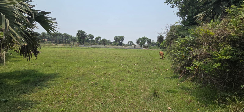  Residential Plot 48960 Sq.ft. for Sale in Shantiniketan, Birbhum, 