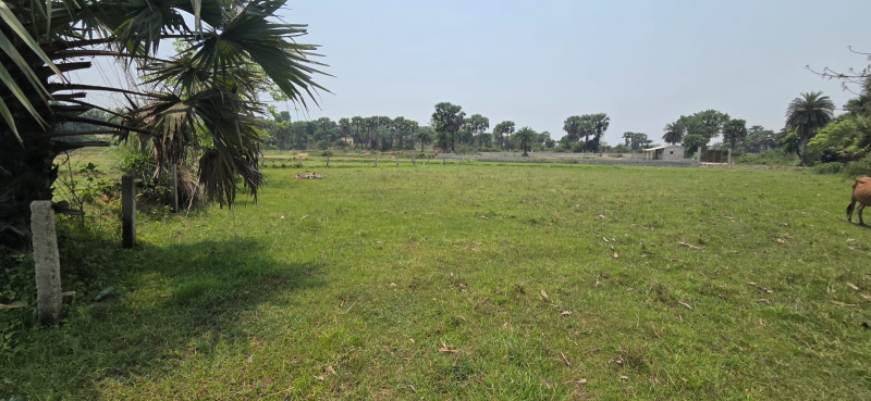  Residential Plot 48960 Sq.ft. for Sale in Shantiniketan, Birbhum, 