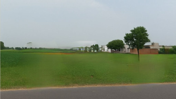  Agricultural Land for Sale in Khalilabad, SantKabir Nagar