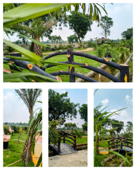  Residential Plot for Sale in Koni, Bilaspur
