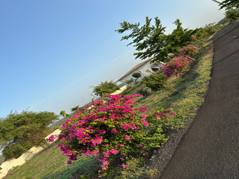 Agricultural Land 5000 Sq.ft. for Sale in Kondhali, Nagpur